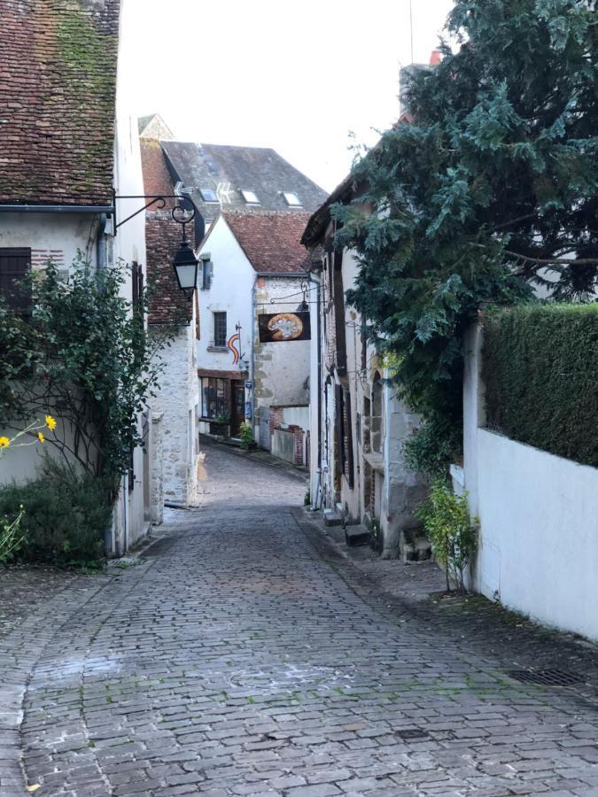 فيلا L'Echappee En Sologne Mennetou-sur-Cher المظهر الخارجي الصورة