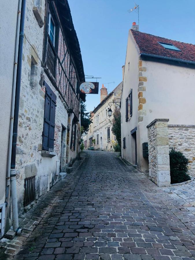 فيلا L'Echappee En Sologne Mennetou-sur-Cher المظهر الخارجي الصورة