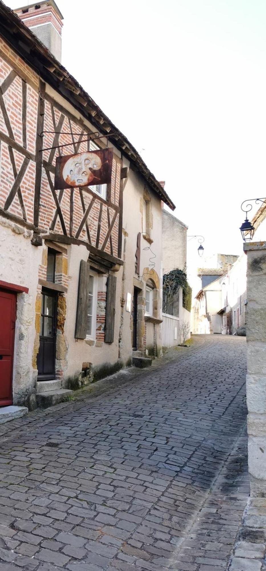 فيلا L'Echappee En Sologne Mennetou-sur-Cher المظهر الخارجي الصورة