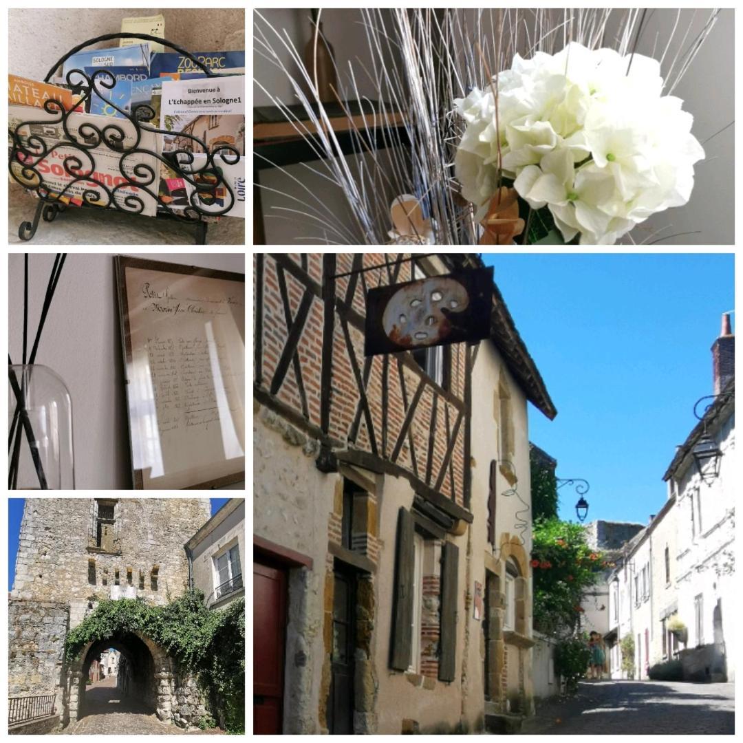 فيلا L'Echappee En Sologne Mennetou-sur-Cher المظهر الخارجي الصورة